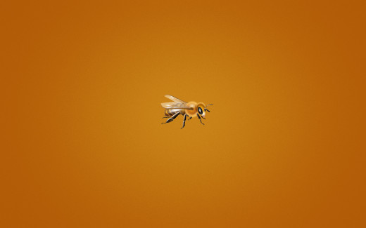 833077 (a): :1920x1200
